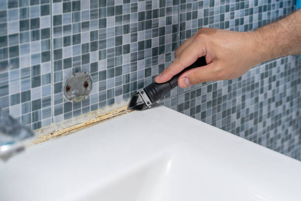  Hamlin, WV Mold Removal Pros